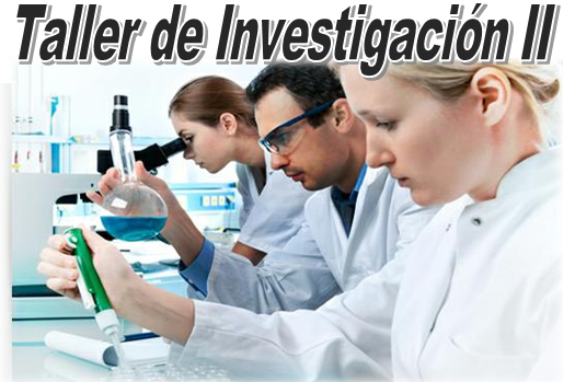 Taller de Investigacin II