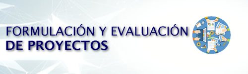 Formulacin y Evaluacin de Proyectos (8P)
