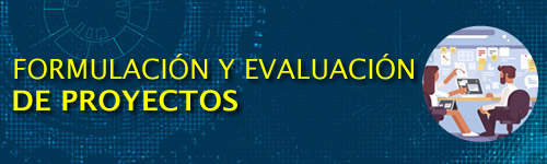 Formulacin y Evaluacin de Proyectos (8PP)