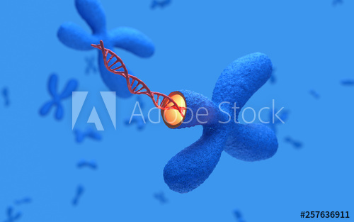 Bioqumica del Nitrgeno y Regulacin Gentica 5F y 5G