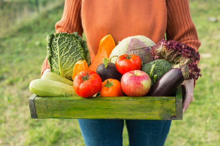 TECNOLOGIA DE ALIMENTOS VEGETALES