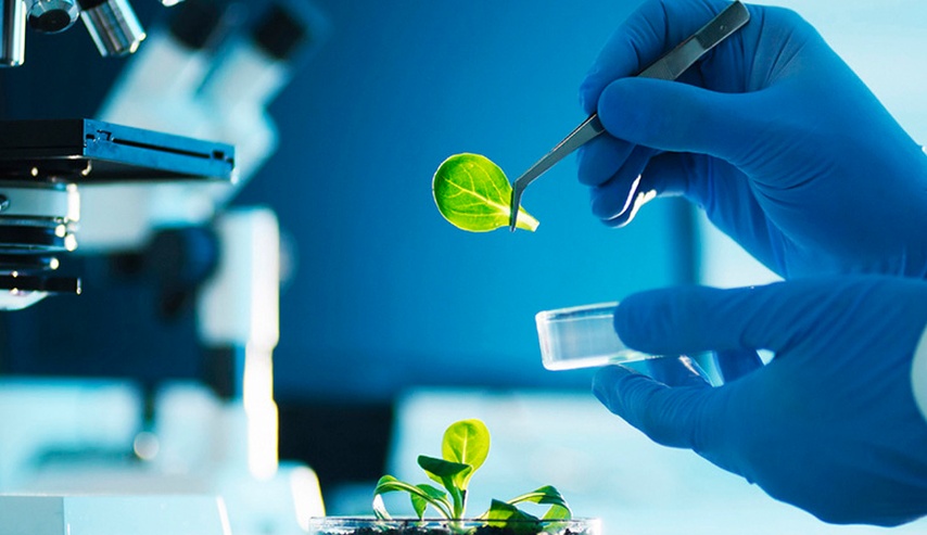 FUNDAMENTOS DE INVESTIGACIN
