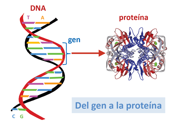 Biotecnologa industrial (Posgrado)