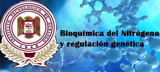 Mi curso Verano 2025