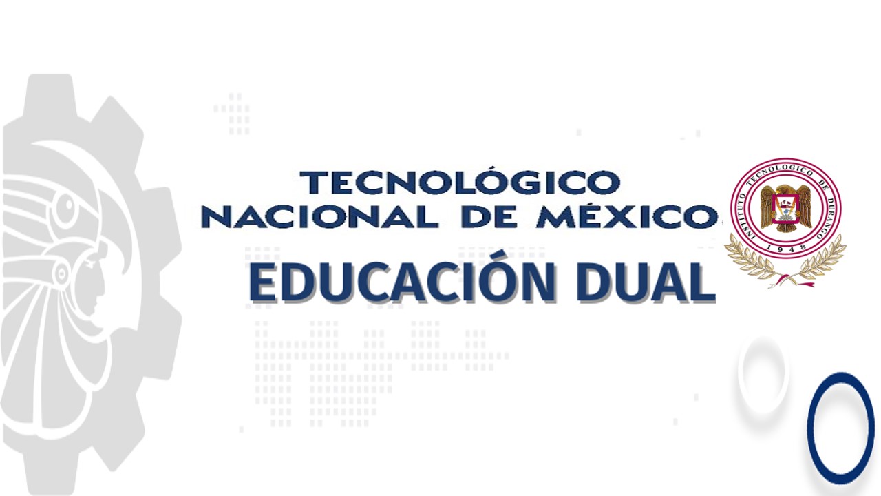 Educacin Dual