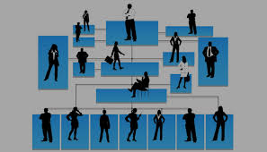 DISEO ORGANIZACIONAL