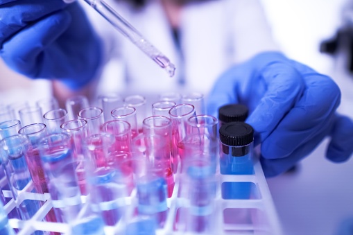 Taller de Investigacin II